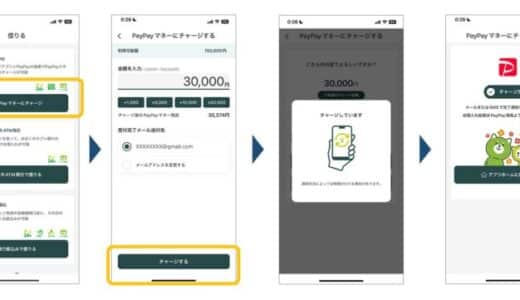 業界で初めて返済・借入れ双方でのPayサービスを開始