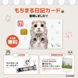 YouTubeチャンネル『もちまる日記カード』登場！