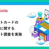 【ココモーラ】クレジットカードの即日発行に関するアンケート調査を実施